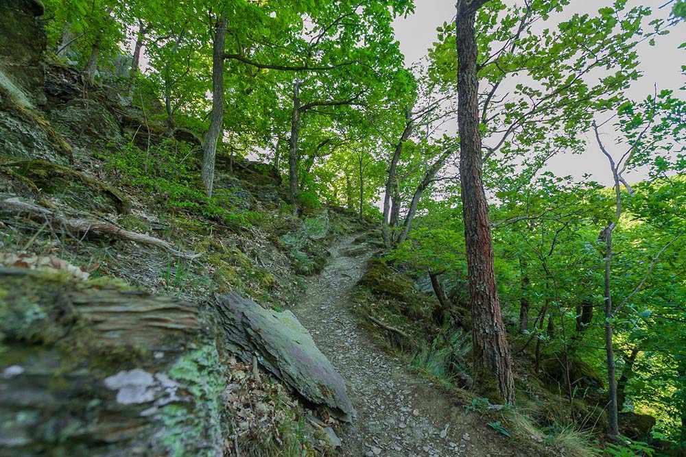 Die Ehrbachklamm - Eine der schönsten Wanderwege 5